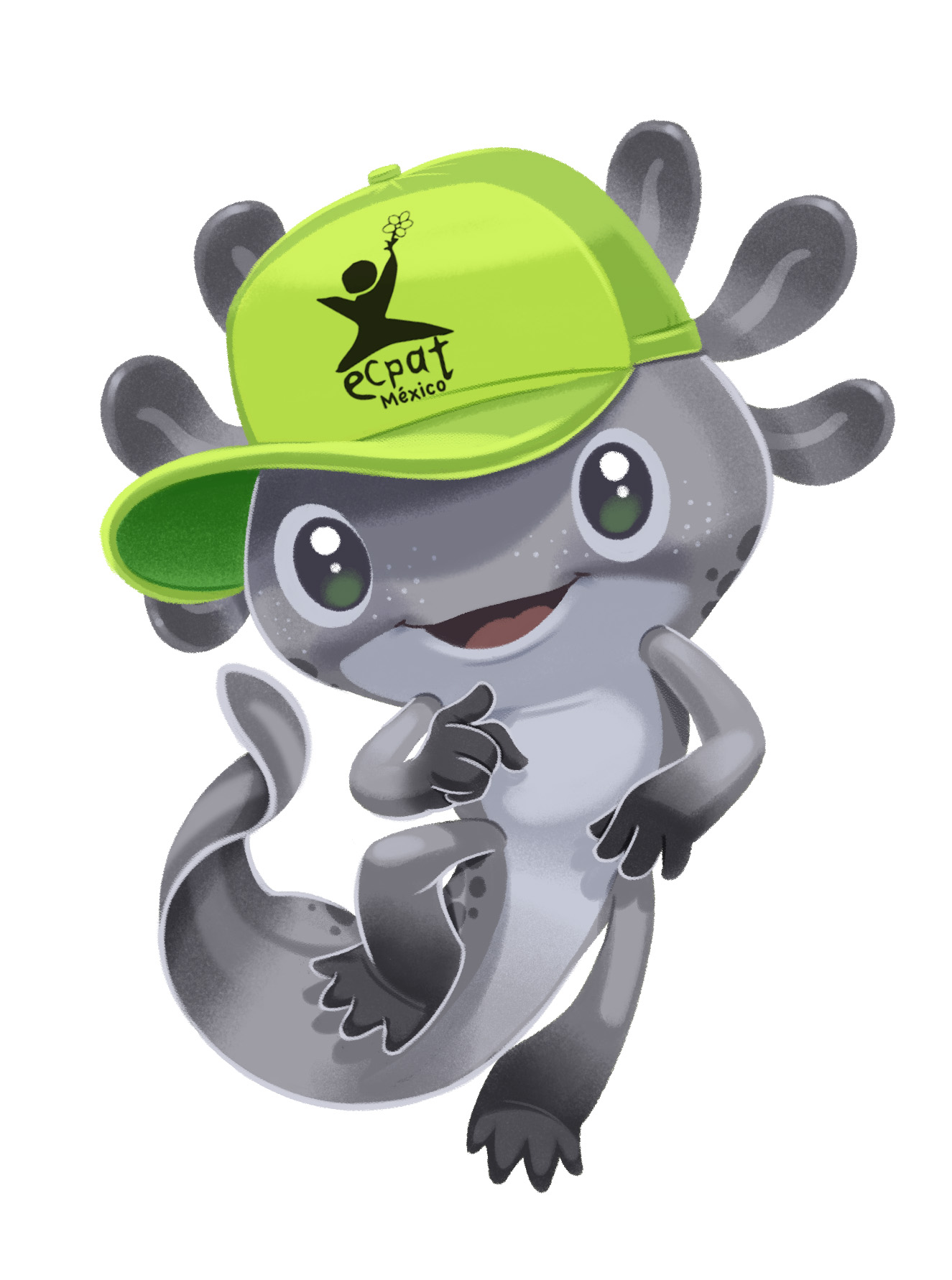 Ajolote Educación e Identidad